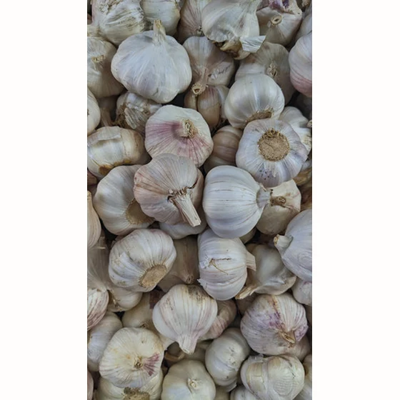 Ail sec (250gr)