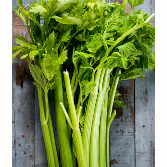 Céleri branche (500 g)