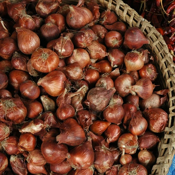 Échalote (200gr)