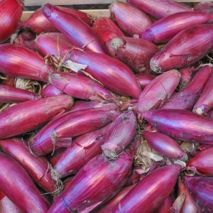 Oignon Simiane (500 gr)
