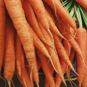 Carottes Nouvelles (1kg)
