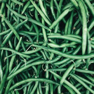 Haricots vert (500g)