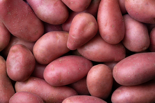 Pomme de terre Rouge (1kg)