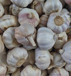Ail sec (250gr)