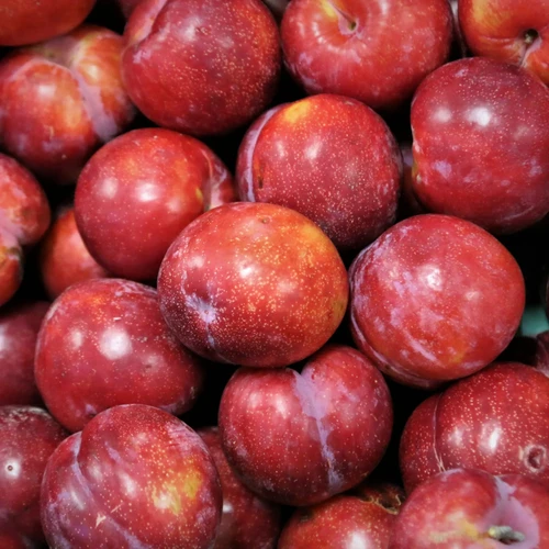 Prune rouge (1 kg)