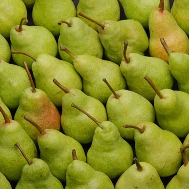 Poire William (1 kg)
