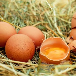 Oeufs