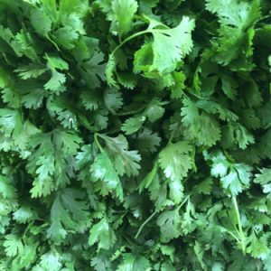 Pot de persil plat (pièce)
