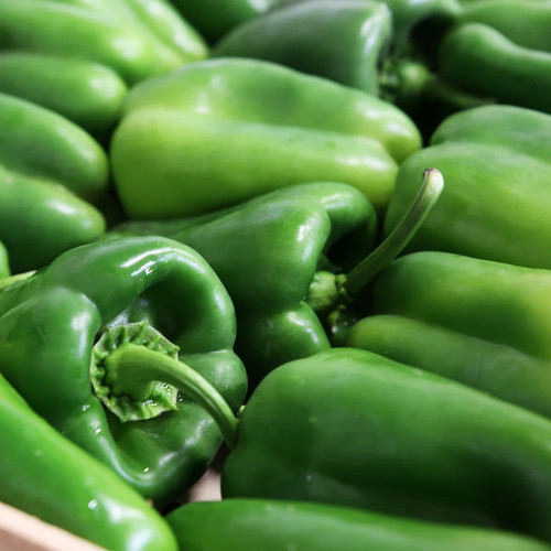 Poivron vert (500g)