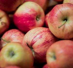 Pomme Reine des Reinette (1 kg)