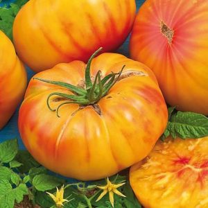 Tomate Ananas (1kg)