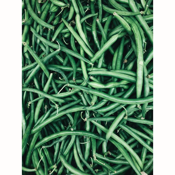 Haricots vert (500g)
