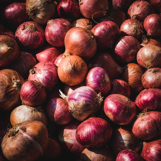 Oignon rouge (500g)