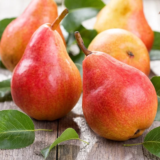Poire William rouge (1 kg)