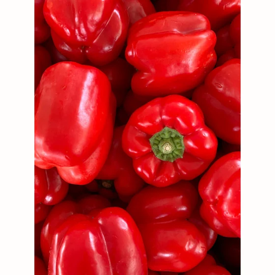 Poivron rouge (500g)