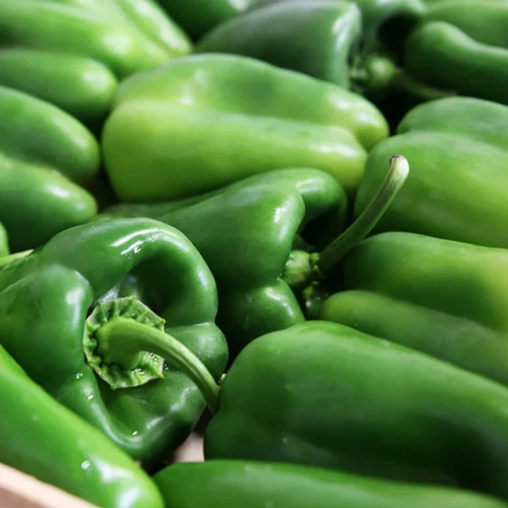 Poivron vert (500g)