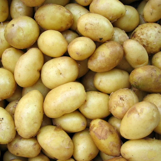 Pomme de terre grenaille (1kg)