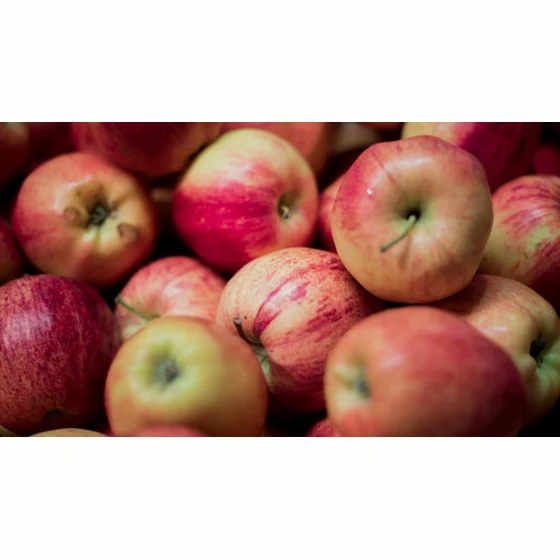 Pomme Reine des Reinette (1 kg)