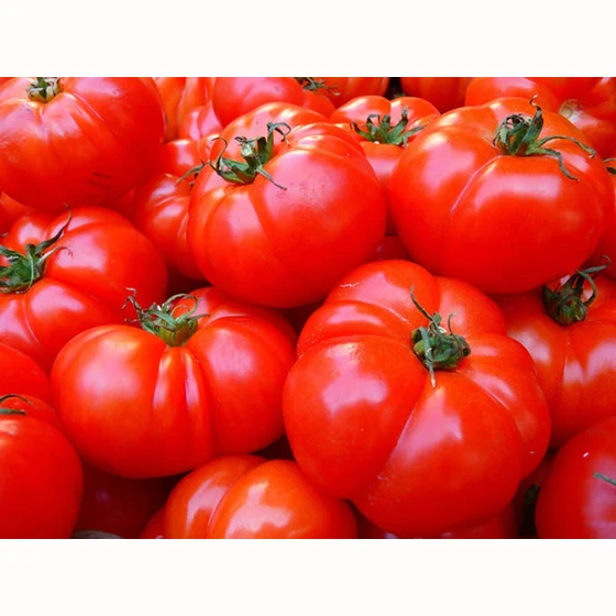 Tomate Marmande (1kg)